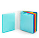 Colorful plastic folders in a white binder isolated on a white background. (Aqua)(Dark Gray)