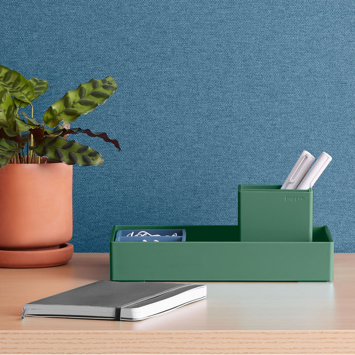Modern green desk organizer, pens, and notebook on a work desk with a p (Sage)