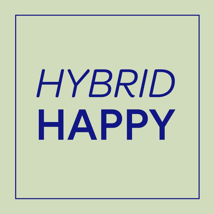 Achieving Hybrid Happiness: Four Rules for a Successful Hybrid Work Policy