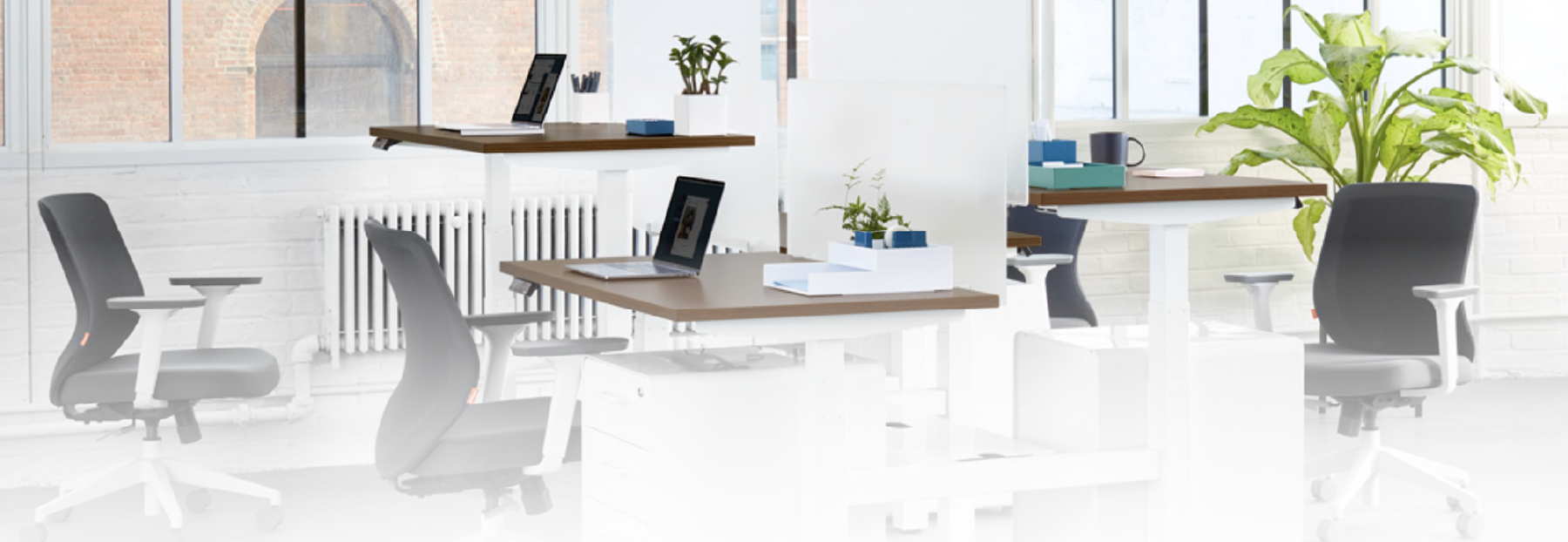 The Future of Workspaces: 2026 Office Design Trends