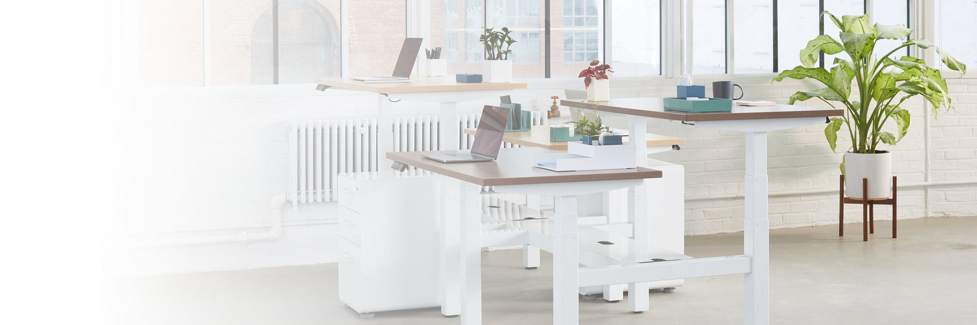 Adjustable Height Desks