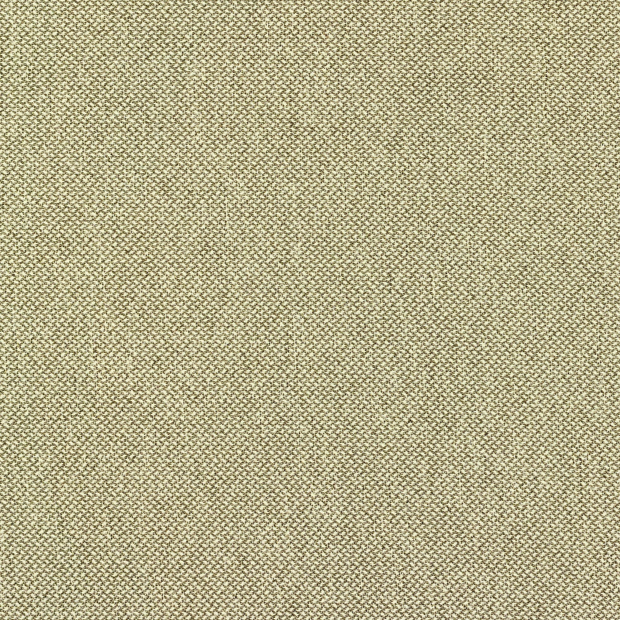  (Moss Green-White-Without Headrest)
