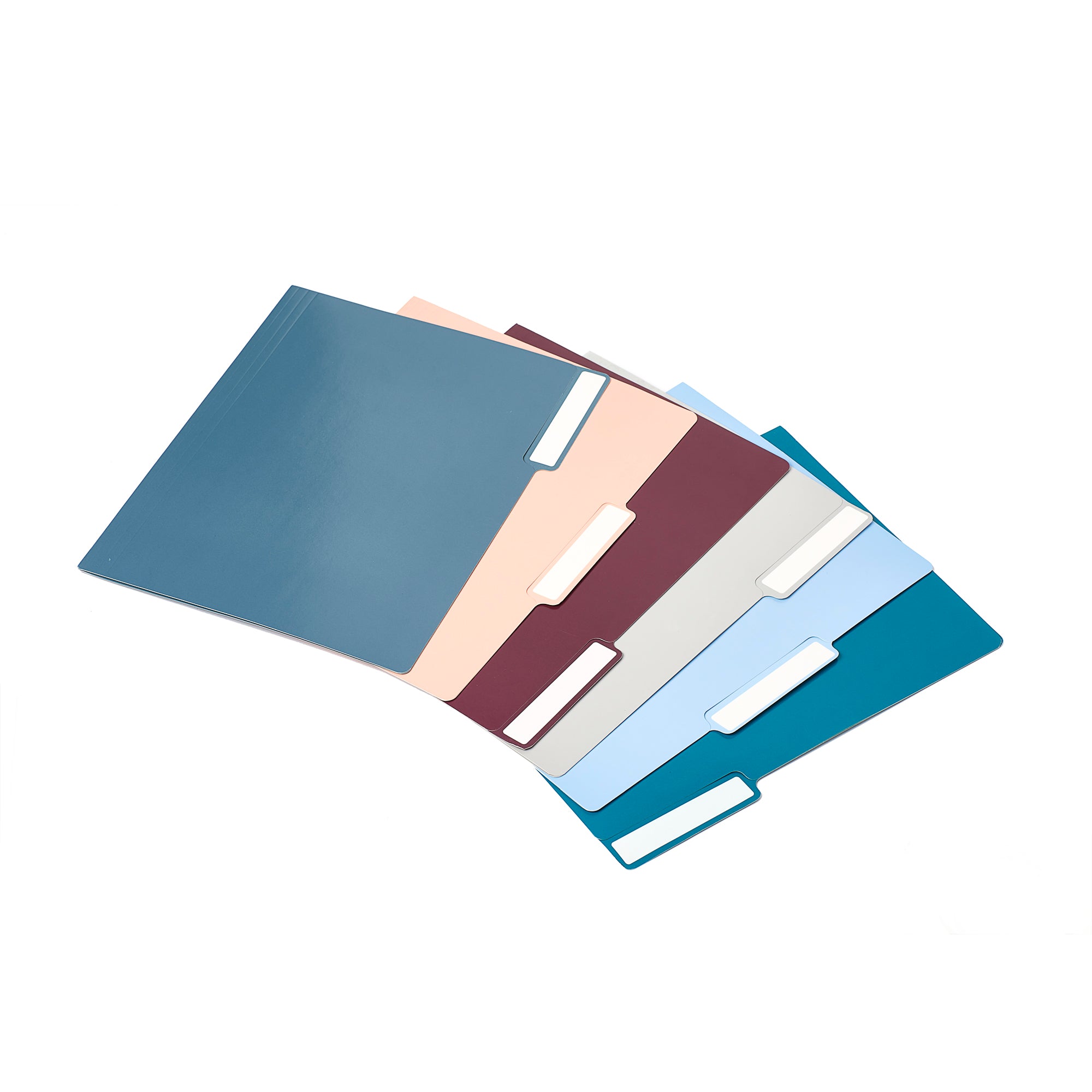 Colorful file folders spread out on a white background. (Contemp. Assorted)