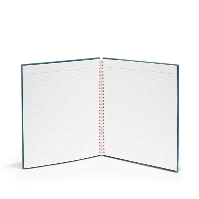 Open spiral notebook with lined pages on a white background. (Storm)