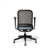 Ergonomic office chair with mesh backrest and adjustable armrests on white (Dorset Sea-Black)