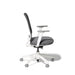Ergonomic office chair with adjustable armrests and white frame on a white (Dorset Charcoal-White)