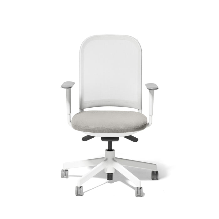 Ergonomic office chair with adjustable armrests and white frame on a white (Dorset Silver-White)