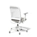 Modern ergonomic office chair with white frame and gray cushions on white background (Dorset Silver-White)