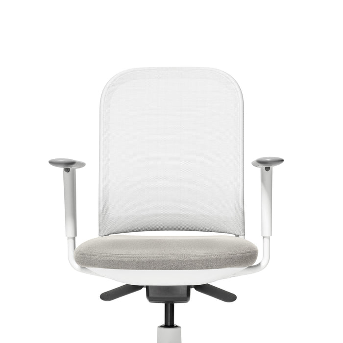 Ergonomic office chair with mesh backrest and adjustable armrests on white (Dorset Silver-White)