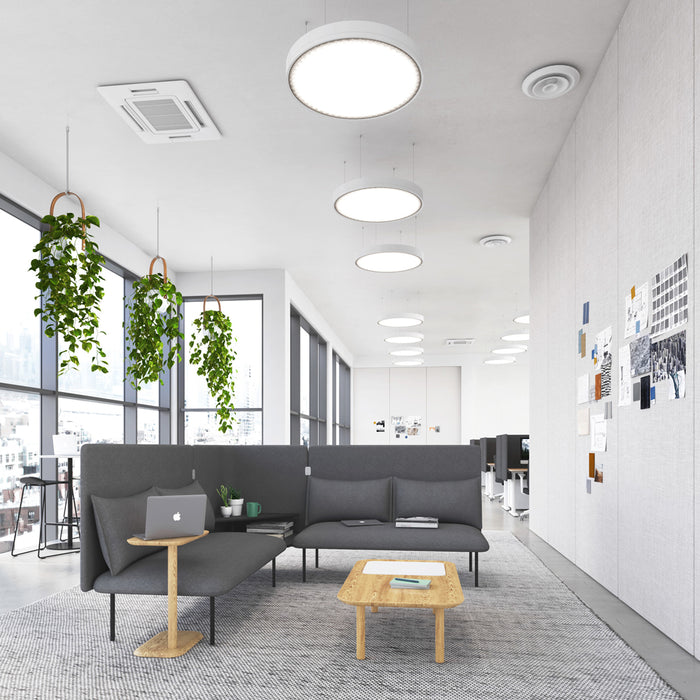 Modern office lounge area with sofas, laptops, and hanging plants. (Dark Gray-Dark Gray)(Brick-Dark Gray)(Dark Blue-Dark Gray)(Teal-Dark Gray)(Gray-Gray)(Blush-Gray)(Brick-Gray)(Dark Blue-Gray)