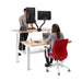 Two professionals working at a modern standing desk with dual monitors and ergonomic chairs. (Natural Oak-47&quot;)