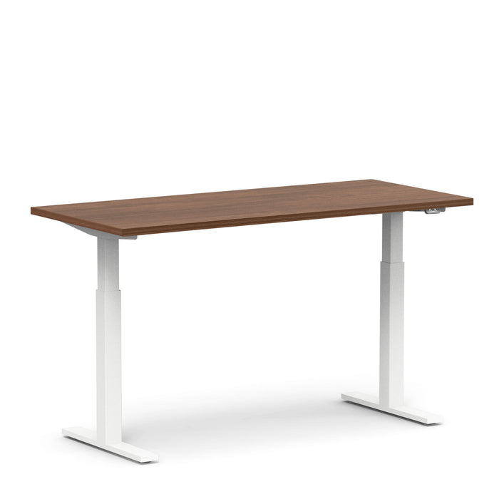 Modern adjustable standing desk with brown top and white legs on a white background. (Walnut-60&quot;)