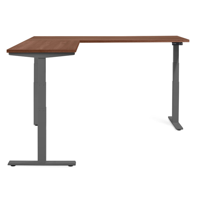 Modern adjustable-height standing desk with wooden top and gray frame (Walnut)