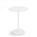 White round modern pedestal table isolated on white background. (White-White)