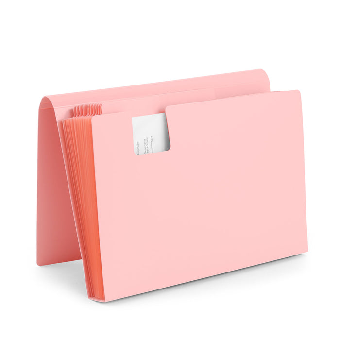 Pink expanding file folder with tabs on white background. (Blush)