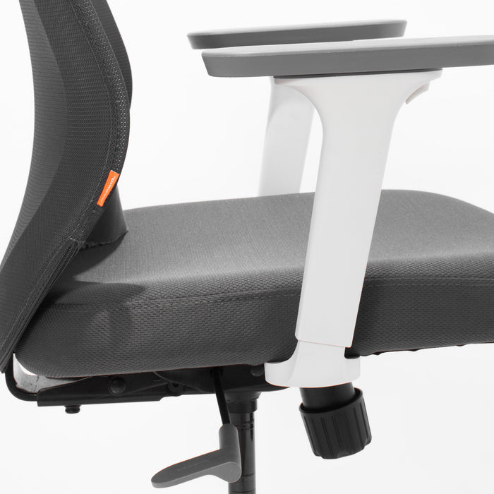 Ergonomic office chair with adjustable armrests and black upholstery against a white (Dark Gray-Mid Back)