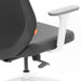 Ergonomic office chair with mesh back and adjustable armrest on white background. (Dark Gray-Mid Back)