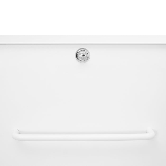 White cabinet door with metal handle and hinge. (White)(White)