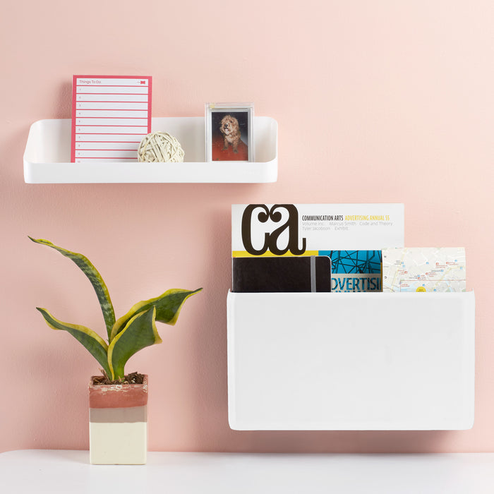 Modern home office shelf with books, decorative items, and plant against a pastel wall. (White)