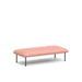 Modern pink upholstered bench with black metal legs on a white background. (Blush)