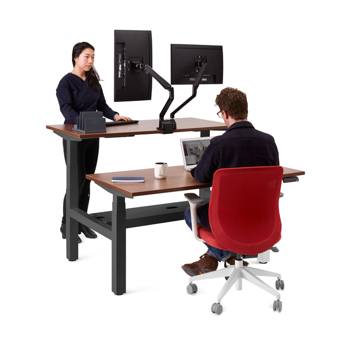 Two professionals working at an ergonomic standing desk with dual monitors. (Walnut-47&quot;)