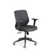 Ergonomic office chair with adjustable armrests on white background (Dark Gray)