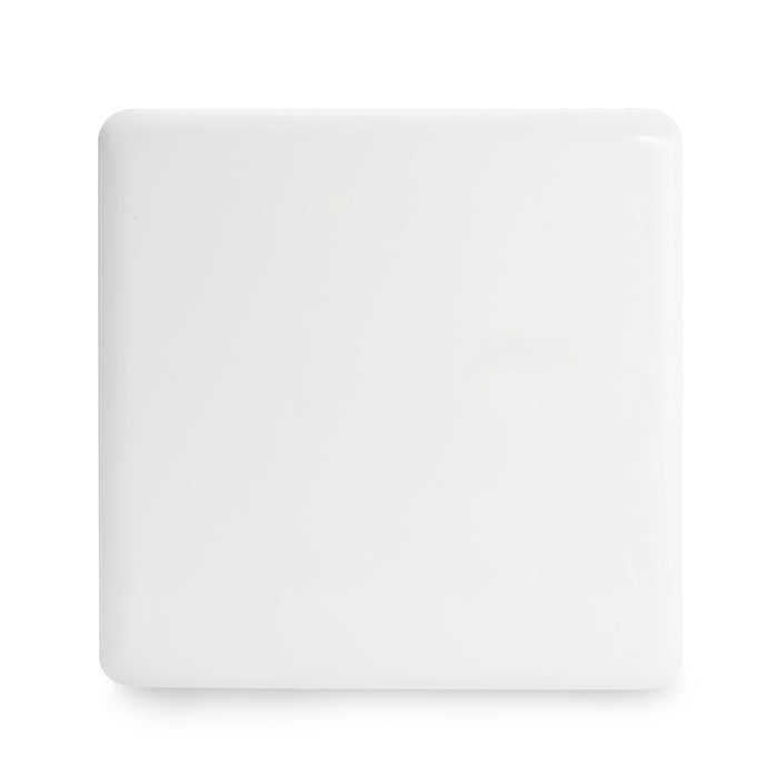 White square ceramic plate isolated on white background 