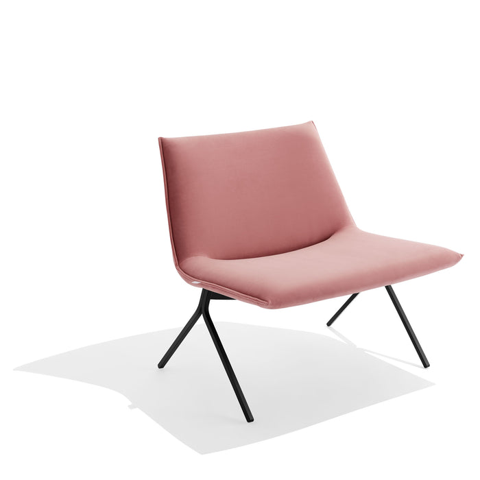 Modern pink lounge chair with black legs on white background. (Dusty Rose-Black)