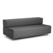 Modern gray fabric sofa with wooden legs isolated on white background. (Dark Gray-Dark Gray)